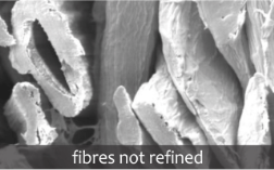 Fibres not refined